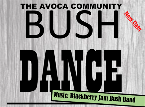 New Date 2023 Bush Dance Poster.png